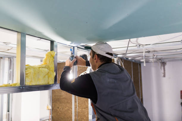 Types of Insulation We Offer in El Cenizo, TX