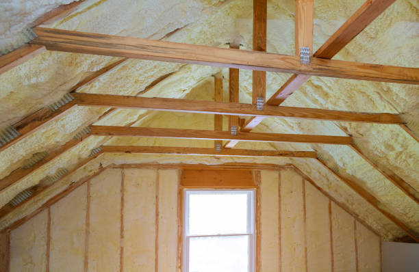 Best Insulation for Specific Applications in El Cenizo, TX