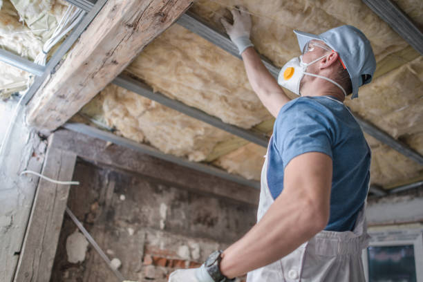 Professional Insulation Contractor in El Cenizo, TX