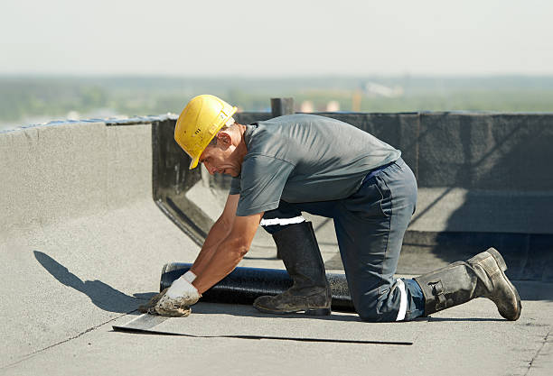 Best Fiberglass Insulation in El Cenizo, TX