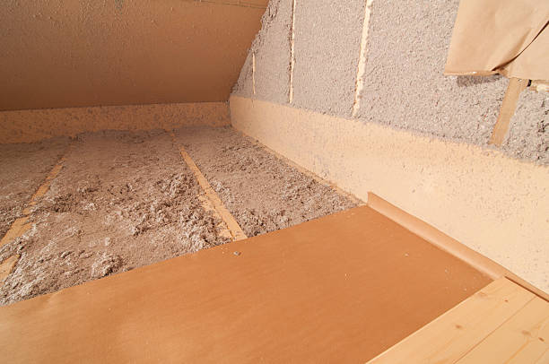 Best Insulation Maintenance and Repair in El Cenizo, TX